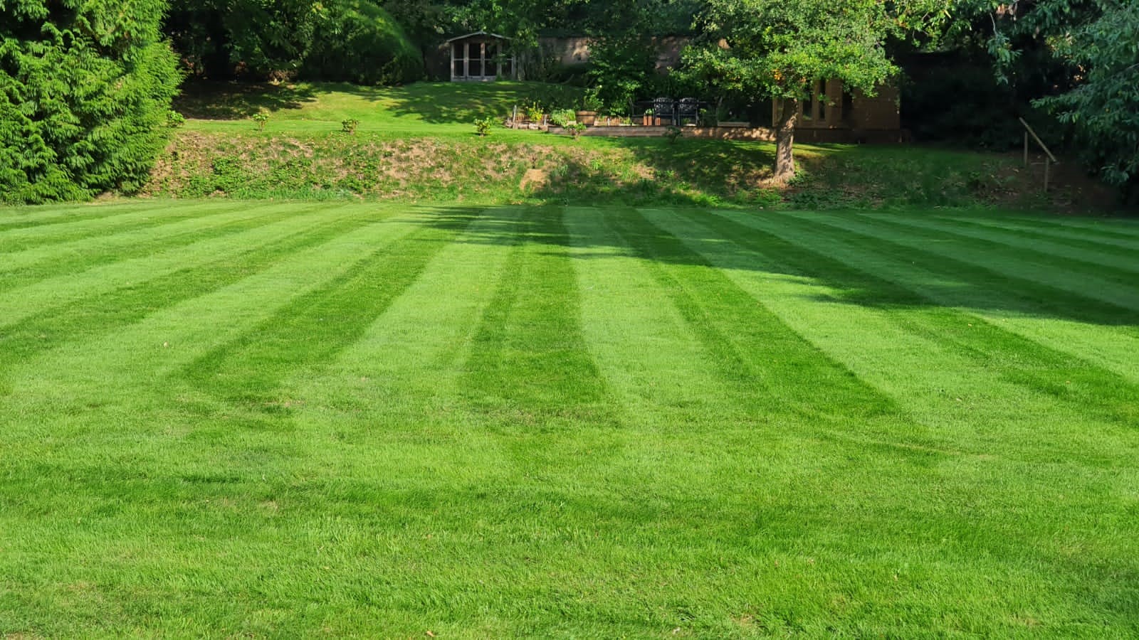 Tuin leeghalen Purmerend specialist