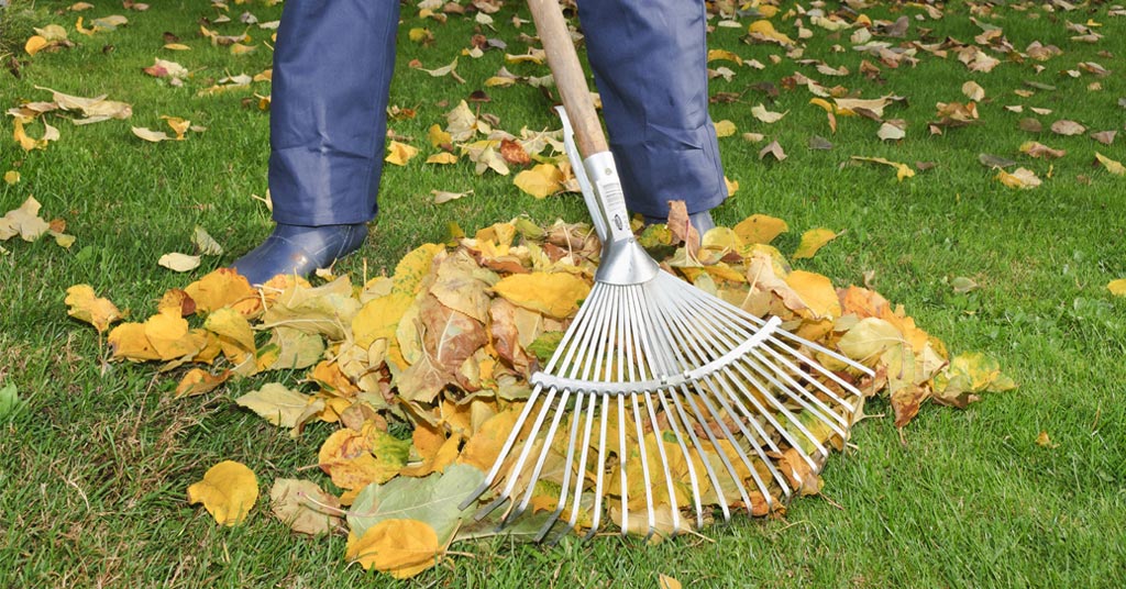 tuin ontruimen Alkmaar